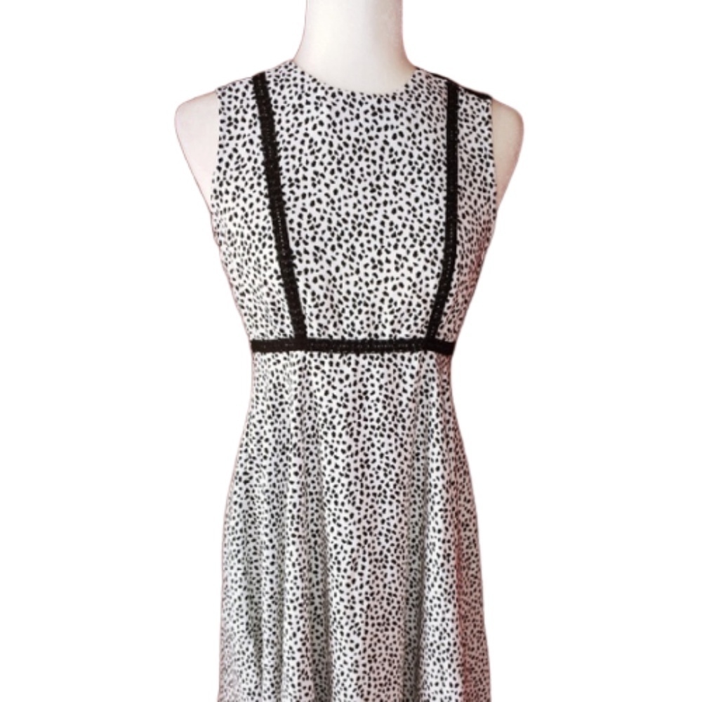 H&M Circle Skirt Dot Dress Lace Trim 8